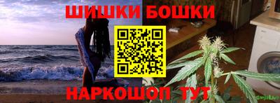 индика Заводоуковск