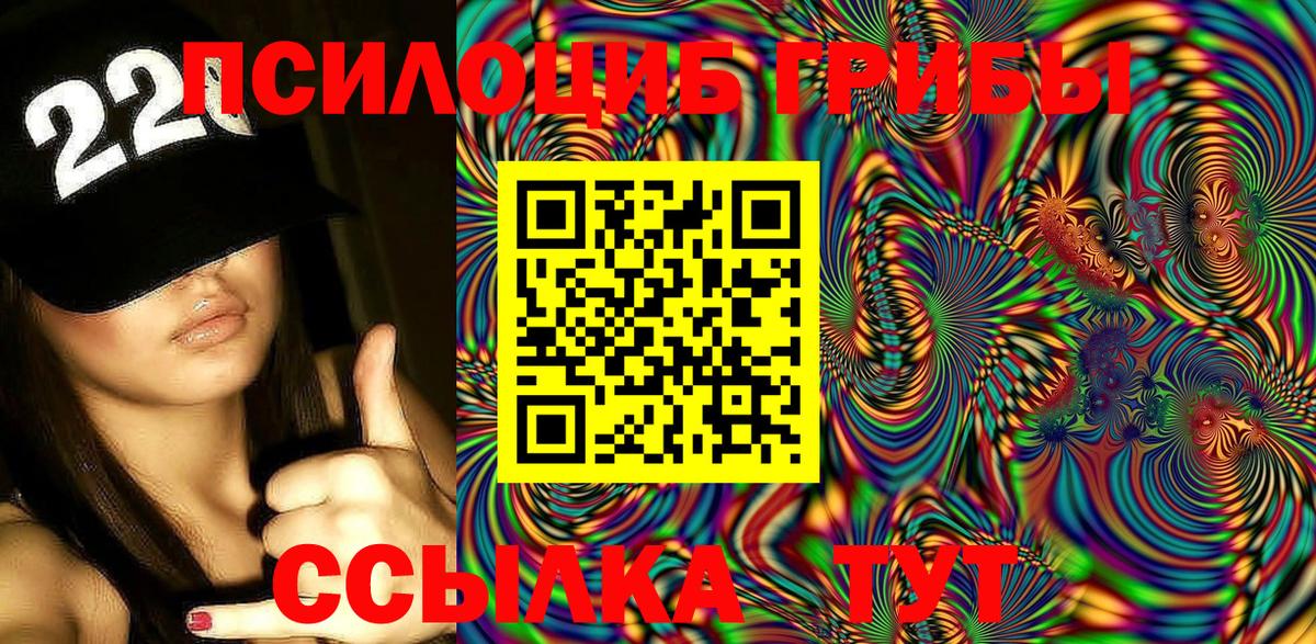 продажа наркотиков  Вход с VPN  Кыштым  Галлюциногенные грибы Psilocybine cubensis 